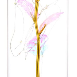 گل رز شیشه ای برند