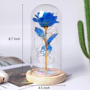 71b1RI0vXRL._AC_SL1500_