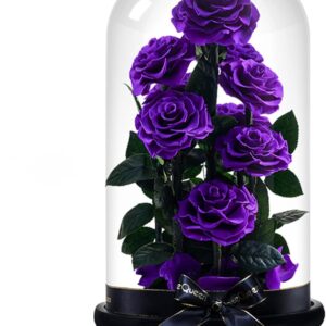 رز جاودان بنفش خاص