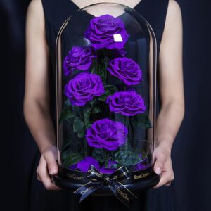 imageye___-_imgi_116_71K4p9DQxuL._AC_SL1500_