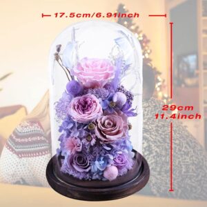 imageye___-_imgi_139_71sZSLRHcBL._AC_SL1500_